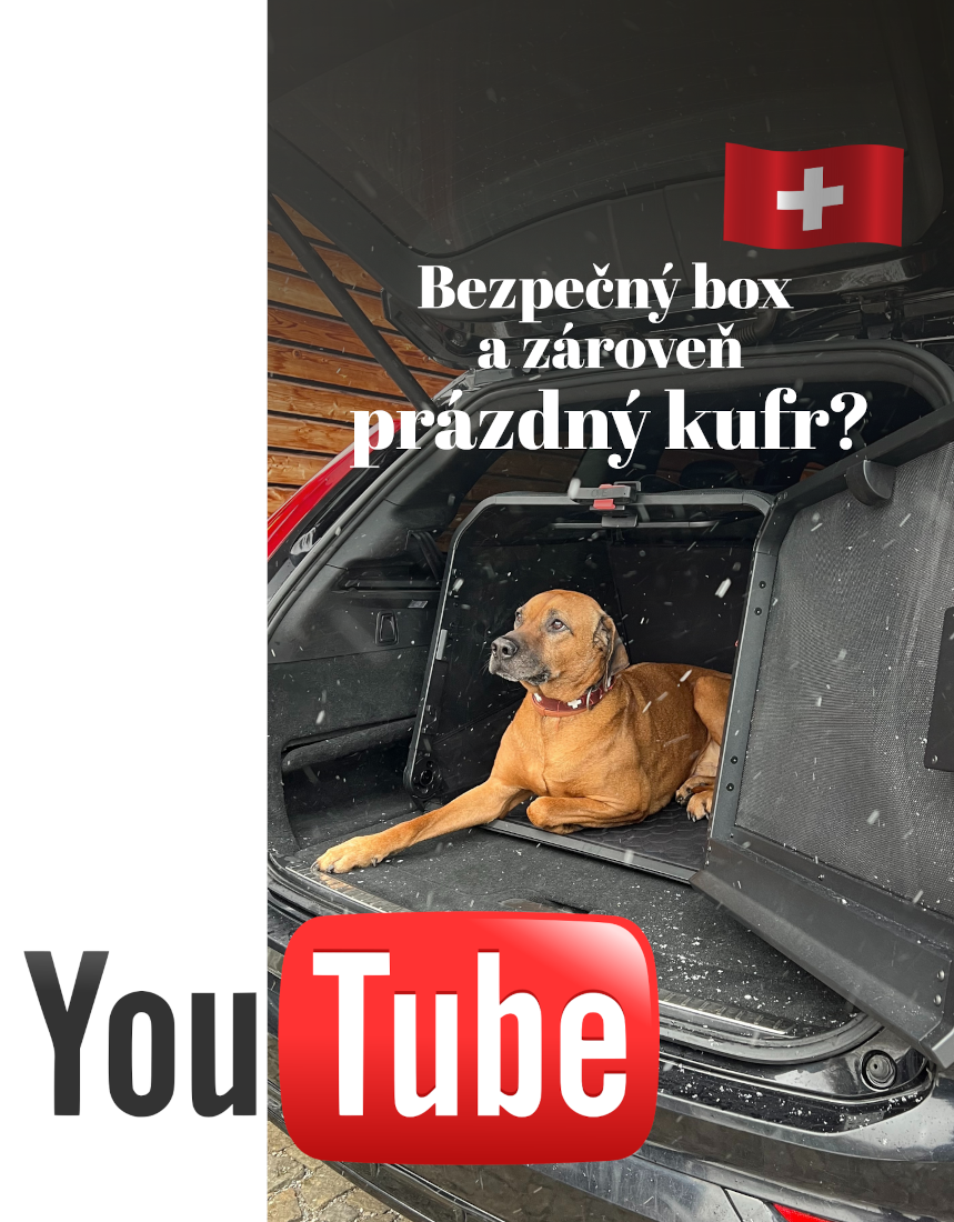 youtube-chytry-box-na-psa
